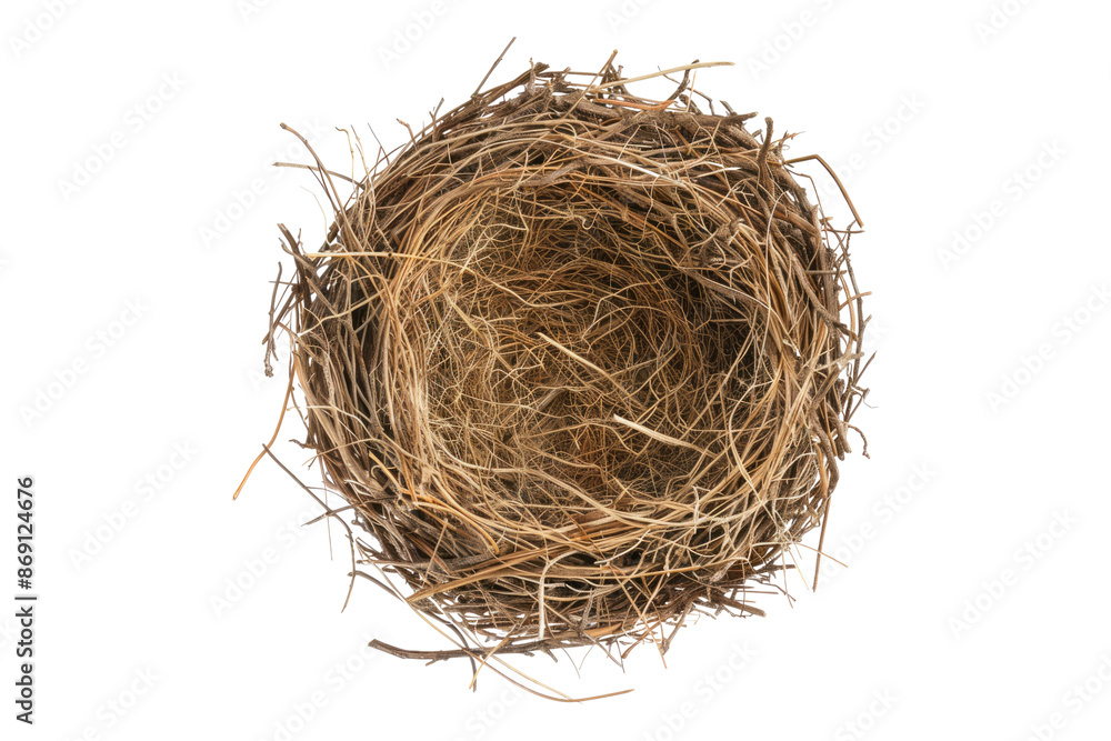Empty bird nest isolated on transparent background Empty bird nest isolated on transparent background
