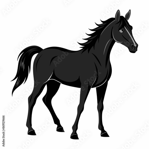 horse illustration