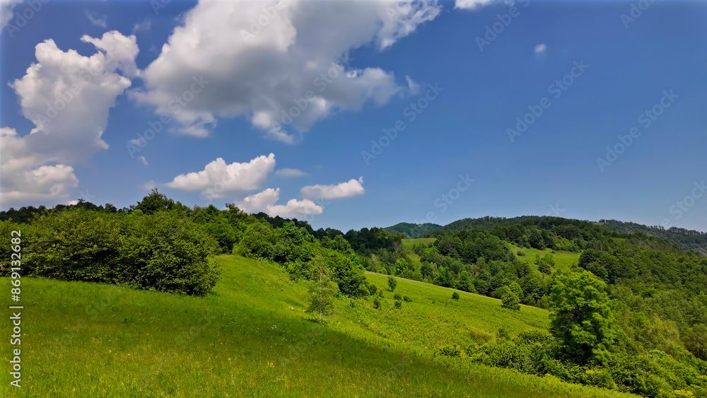 Summertime mountain fields landscape with flowers. Summertime mountain fields landscape with flowers.