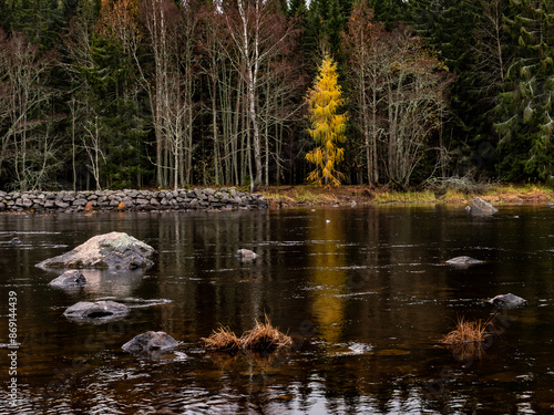 River area in autumn. Scenic view of a salomon,river landscape in Farnebofjarden national park in north of Sweden photo