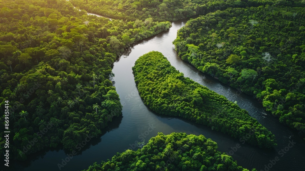 A river with a green forest on both sides A river with a green forest on both sides