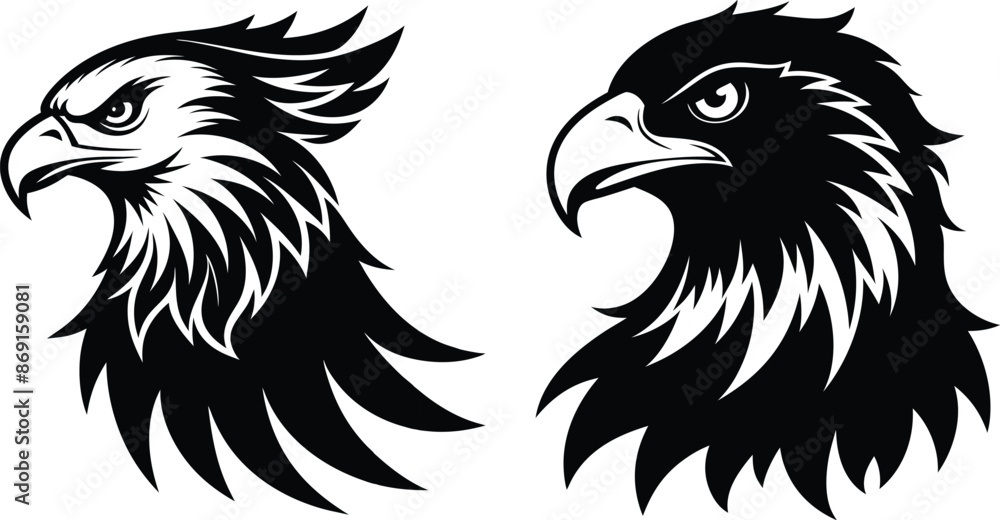 Eagle vector Eagle vector