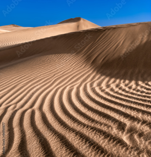 sand dunes in the desert