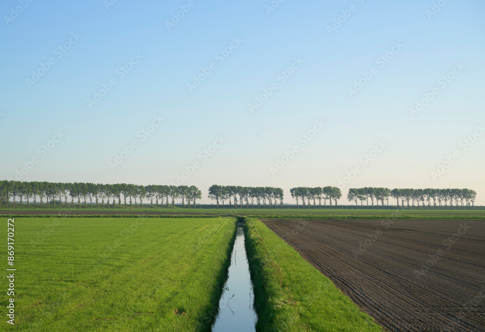 Lines of trees and landscape in polder Lines of trees and landscape in polder