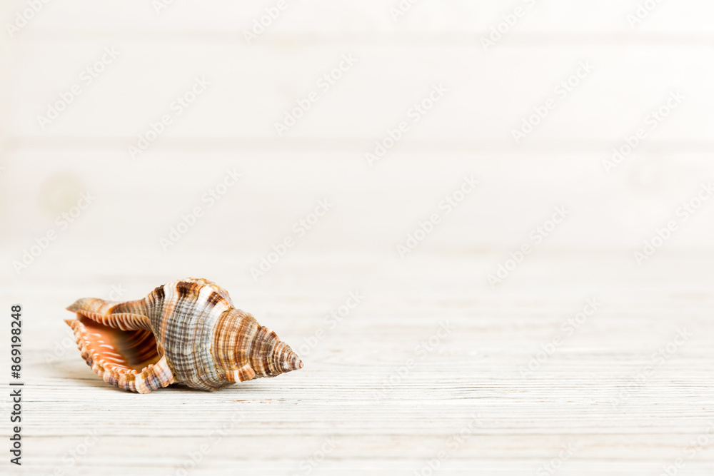 Summer time concept with sea shells or starfish on a table background with copy space for text Summer time concept with sea shells or starfish on a table background with copy space for text