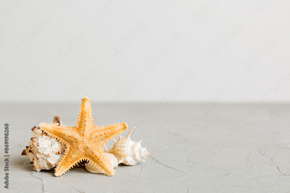 Summer time concept with sea shells or starfish on a table background with copy space for text Summer time concept with sea shells or starfish on a table background with copy space for text