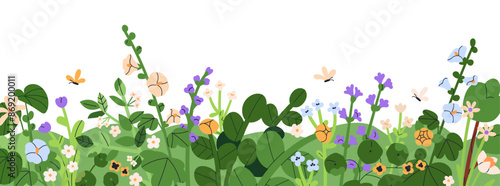 Field flower and grass border. Spring meadow, summer floral pattern with wildflowers. Summer bloom and blossom, horizontal botanical decoration. Flat vector illustration isolated on white background