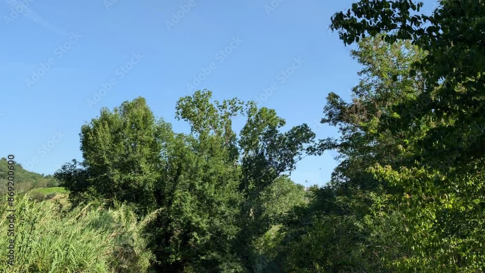 La natura e il cielo azzurro d'estate nelle Marche in Italia La natura e il cielo azzurro d'estate nelle Marche in Italia