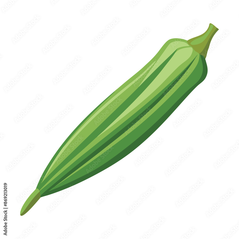 illustration fresh a okra isolated on white illustration fresh a okra isolated on white