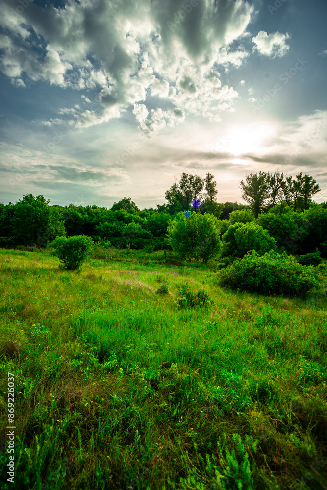 Road in forest and field . Summer landscape . Sky over the forest and field with grass. Forest nature . Wild in the woods . Road in forest and field . Summer landscape . Sky over the forest and field with grass. Forest nature . Wild in the woods .
