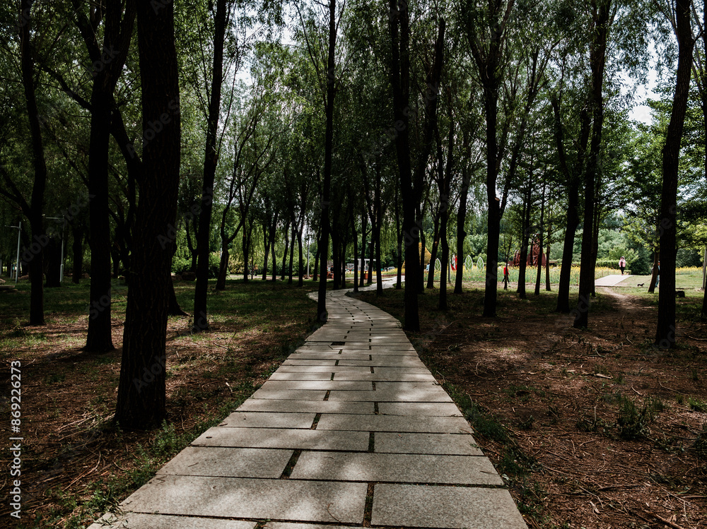 walking in the park, Changchun, China walking in the park, Changchun, China