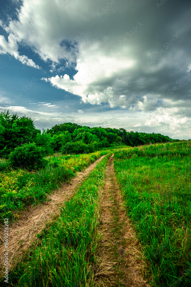 Road in forest and field . Summer landscape . Sky over the forest and field with grass. Forest nature . Wild in the woods . Road in forest and field . Summer landscape . Sky over the forest and field with grass. Forest nature . Wild in the woods .