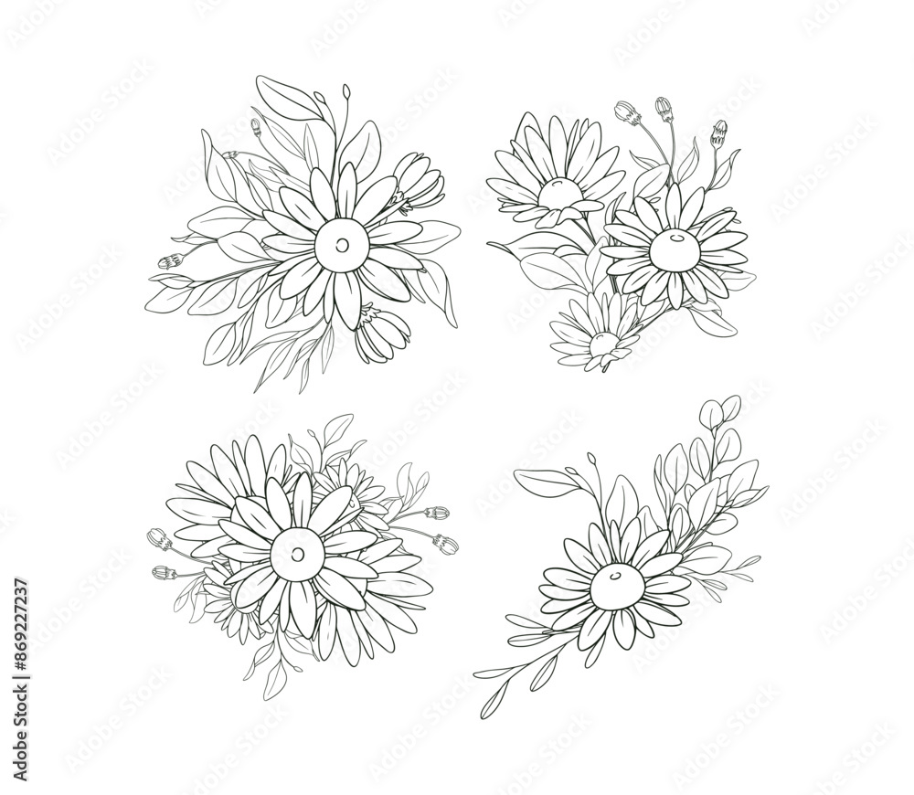 Fototapeta premium Hand Drawn Daisy Flower Frame Background