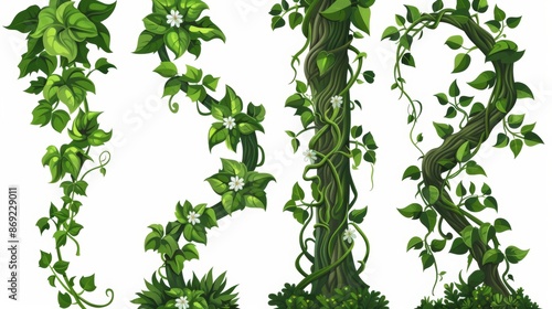 A jungle vine branch. Modern forest climbing liana vine element. Isolated tropical creeper wood trunk decorated with flowers. Exotic twisted rainforest border. Foliage garden element. © Mark
