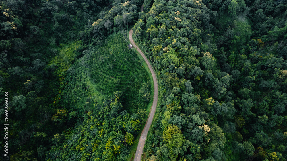 Raod green,Aerial top view beautiful curve road on green forest in the rain season Raod green,Aerial top view beautiful curve road on green forest in the rain season