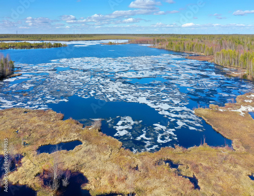 Spring colorful landscape.  Aerial view of the lake with remnants of ice. Floating ice on  lake in spring. Western Siberia. Yugra. Russia photo