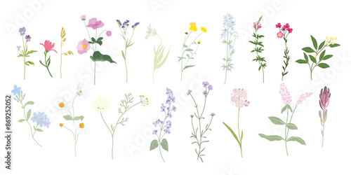 Flower art triptych vector element with Wildflower and leaf hand drawn. Botanical illustration minimal style.