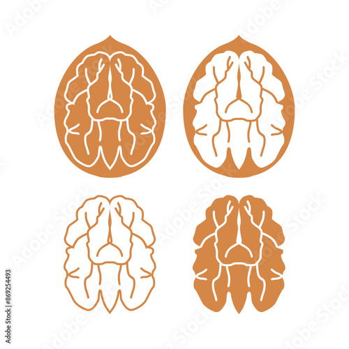 A set of walnut icons. The silhouette and contour of a walnut. Delicious and healthy food. Vector illustration isolated on a white background for design and web.
