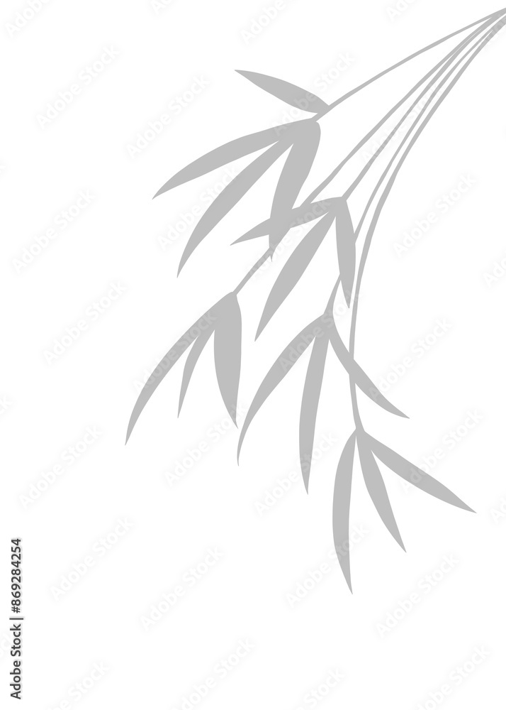 Obraz premium Gray natural leaf bamboo shadow element for decoration. On isolate background. 
