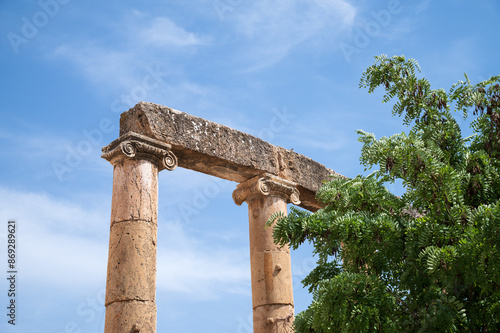 Panoramica de las columnas de la plaza ovalada en la antigua ciudad romana de Gerasa o Jarash, Jordania. photo