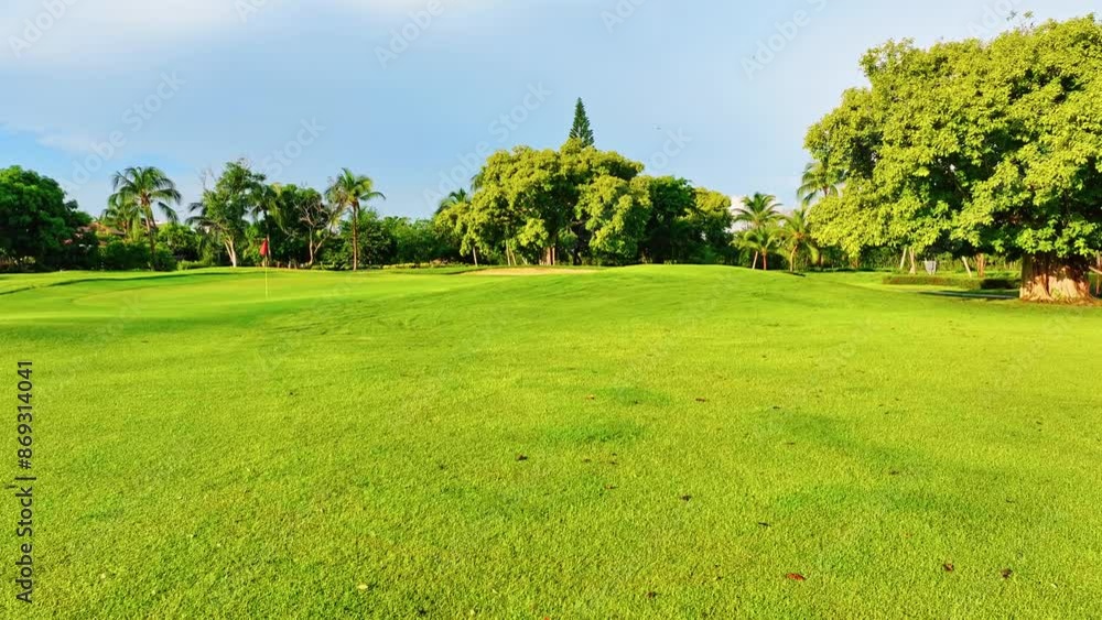 Lush golf courses in a tropical setting. Bright landscape of lawn with dense green turf and palm trees. A golf course with short-cropped grass. Vibrant tropical nature. Lush golf courses in a tropical setting. Bright landscape of lawn with dense green turf and palm trees. A golf course with short-cropped grass. Vibrant tropical nature.