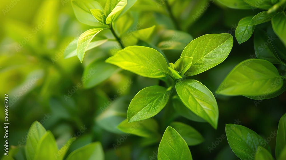 Closeup of new spring leaves with a vibrant green hue, symbolizing growth and renewal Closeup of new spring leaves with a vibrant green hue, symbolizing growth and renewal