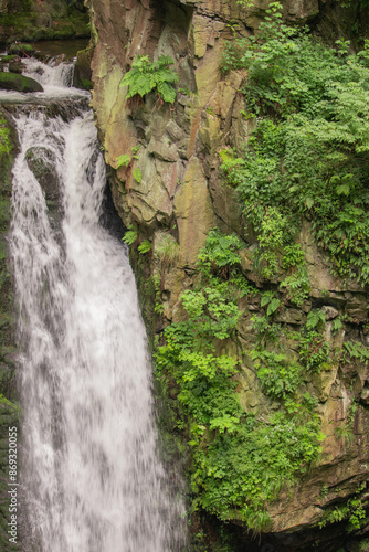 waterfall in the forest