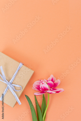 Elegant Gift Box and Pink Tulip on Pastel Orange Background