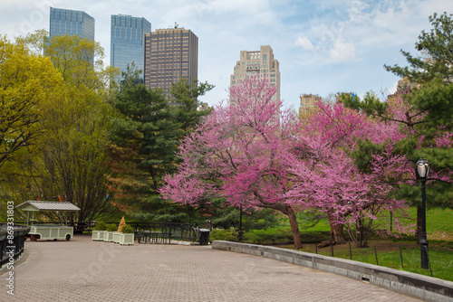 Obraz na płótnie Central Park and Time Warner Building skyscraper New York City w salonie
