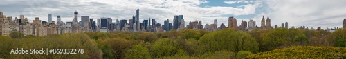 Central Park and Manhattan Skyline New York City