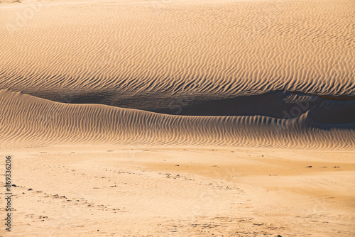 Beautiful dunesscenery of the Slowinski National Park by the Baltic Sea, Leba. Poland photo