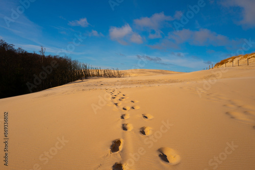 Beautiful dunesscenery of the Slowinski National Park by the Baltic Sea, Leba. Poland photo