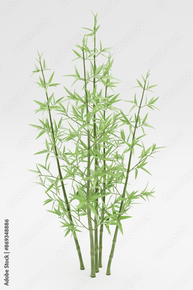 Realistic 3D Render of Bamboo Plant Realistic 3D Render of Bamboo Plant