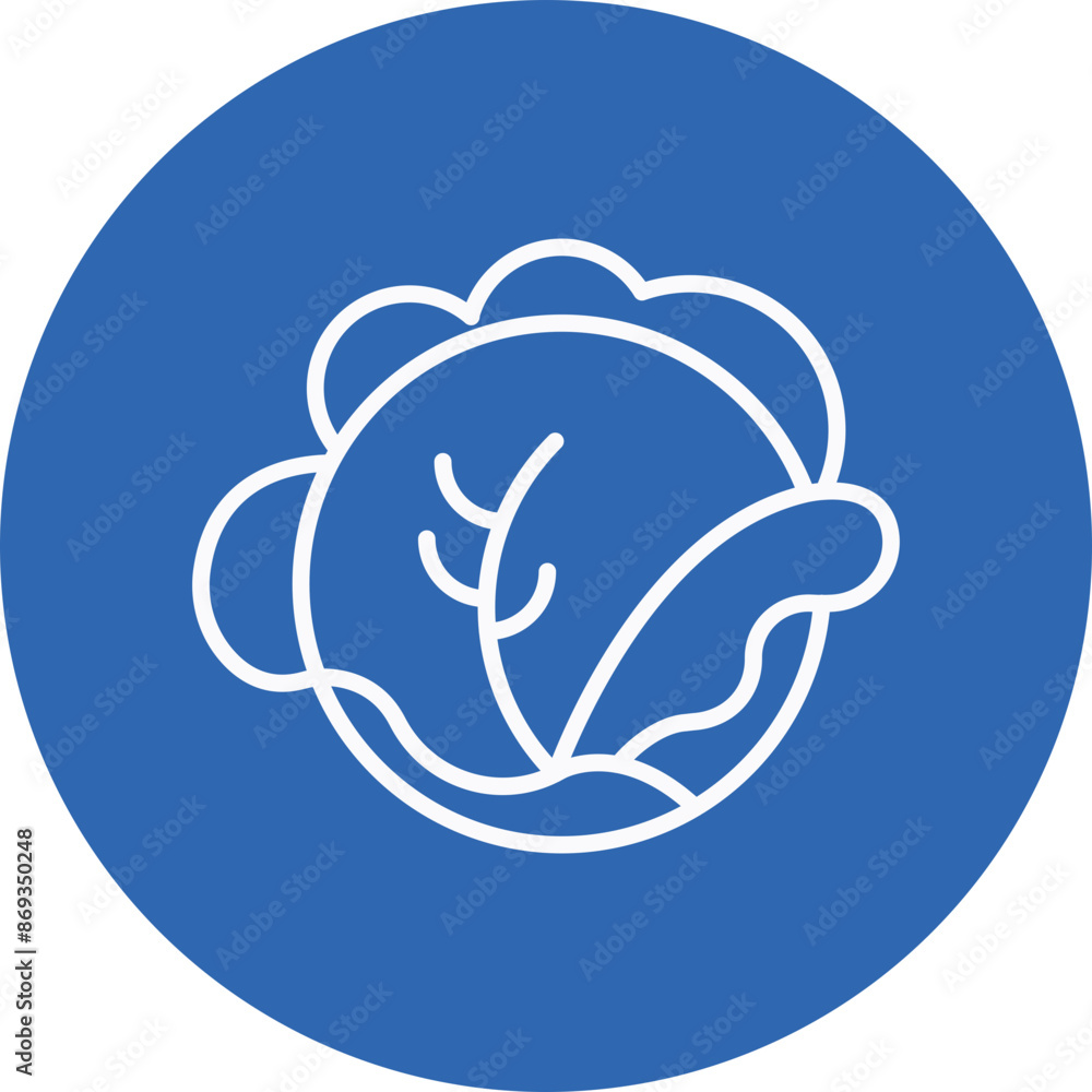 Cabbage line circle icon Cabbage line circle icon