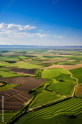 Lush Agricultural Fields Under Cerulean Sky: Testament of Farming Dedication and Potential Harvest Goldmine