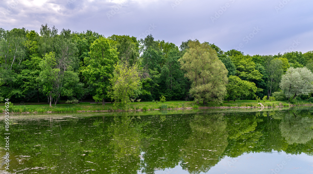 Forest reflected in a small lake. Forest reflected in a small lake.