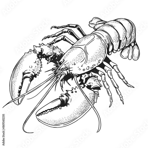 Lobster ink sketch style, engraving imitation. Hand drawn lobster or cancer for seafood restaurant menu, flyer, poster, farm. Vector illustration isolated on white background. Monochrome