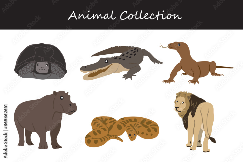 Fototapeta premium Animals collection. Flat style vector illustration.