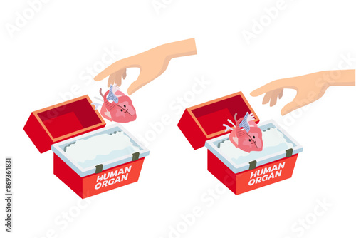 World Organ Donation Day. Organ transplantation box. Transport cooler bag for donation organs. Human hands placing a donor heart in a refrigerated medical box