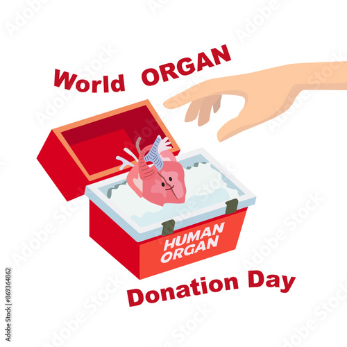 World Organ Donation Day. Organ transplantation box. Transport cooler bag for donation organs. Human hands placing a donor heart in a refrigerated medical box