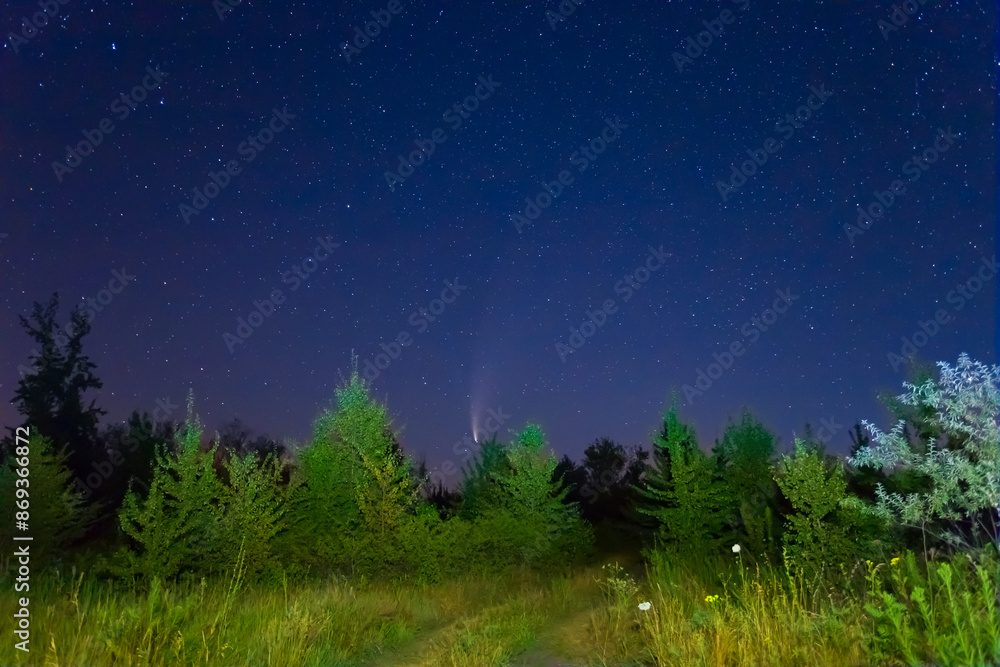 huge comet on night starry sky above a forest huge comet on night starry sky above a forest