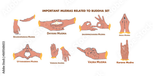 important mudra related to Buddha,yoga mudra set,vector isolated set.