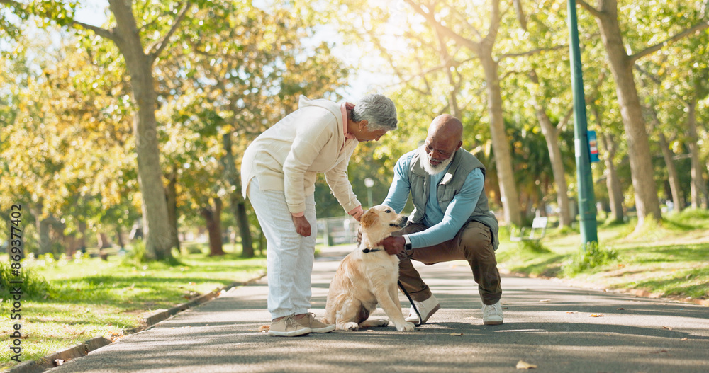 Fototapeta premium Love, senior couple and pet outdoor on walk together for group exercise, health and wellness in park. Play, senior man and woman in nature with labrador animal for morning adventure in retirement