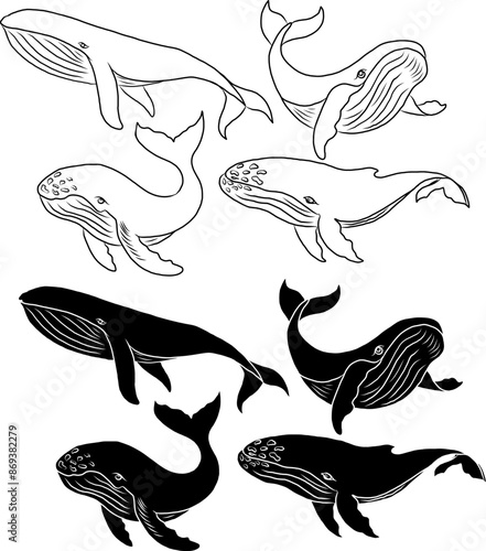 Whale illustration on white background.Hand drawn whale vector for elements on children book or coloring.Sticker printing on paper.