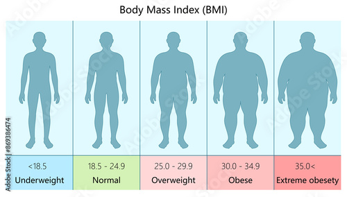 Illustrative chart showing different BMI categories underweight to extreme obesity body mass index values diagram hand drawn schematic raster illustration. Medical science educational illustration