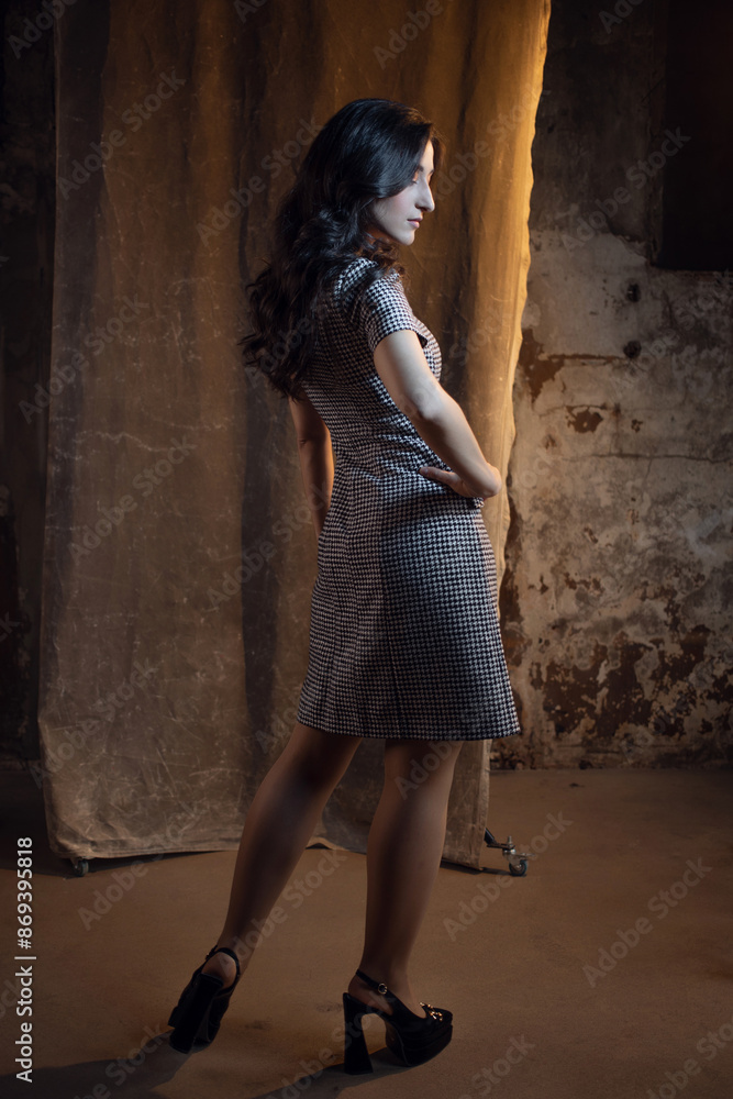 Naklejka premium Elegant brunette in a medium-length dress. photo in dark colors