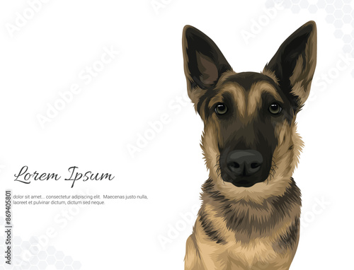 Vector Dog Breed German shepherd 3 wall decor ideas