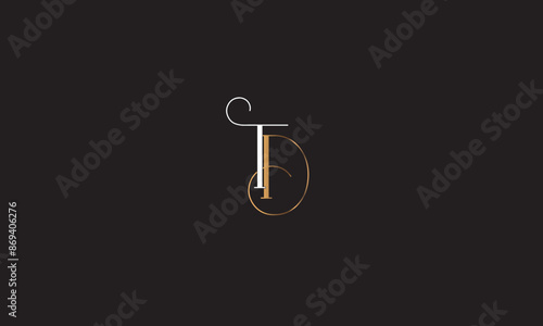 TD, DT, D, T Abstract Letters Logo Monogram	