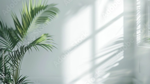 Green palm with reeded glass. Home decor background. Natural wood and green leaves. Blank wall with window view. White Ribbed Background. © Artsiom