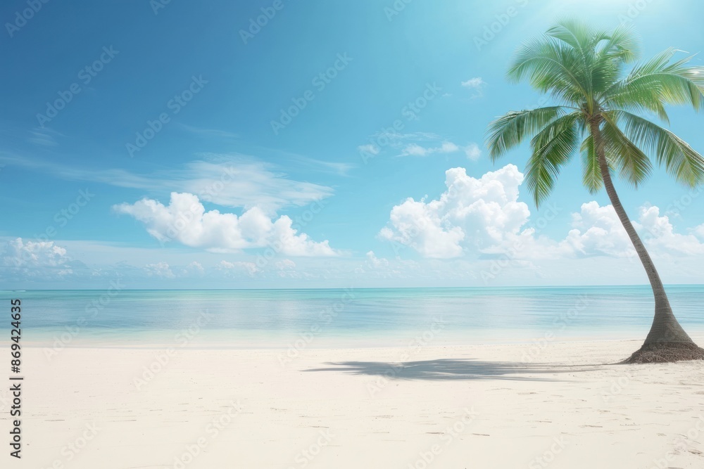 Obraz premium Palm Tree tree outdoors horizon.